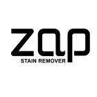 ZAP STAIN REMOVER