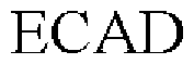 ECAD