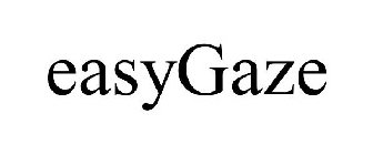 EASYGAZE