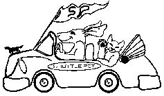 S P SHUTTLE PET