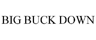 BIG BUCK DOWN