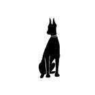 Image Trademark