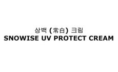 SNOWISE UV PROTECT CREAM