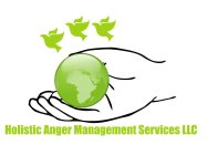 HOLISTIC ANGER MANAGEMENT SERVICES LLC