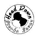 HEAD DOWN STROKE SAVER