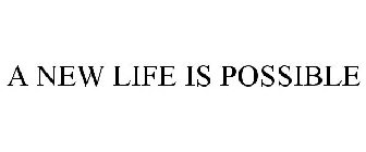 A NEW LIFE IS POSSIBLE
