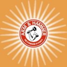 ARM & HAMMER THE STANDARD OF PURITY