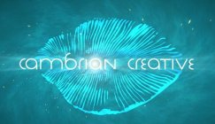 CAMBRIAN CREATIVE