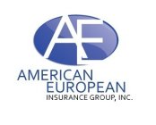 AE AMERICAN EUROPEAN INSURANCE GROUP, INC.