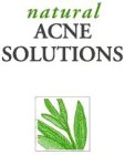 NATURAL ACNE SOLUTIONS