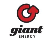 GIANT ENERGY