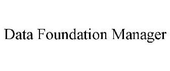 DATA FOUNDATION MANAGER