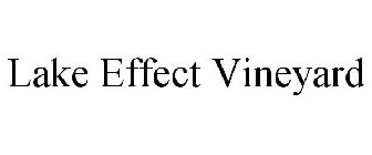 LAKE EFFECT VINEYARD