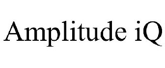 AMPLITUDE IQ