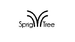 SPRIG TREE