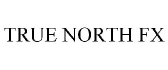 TRUE NORTH FX