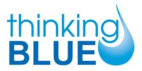 THINKING BLUE