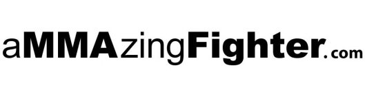 AMMAZINGFIGHTER.COM