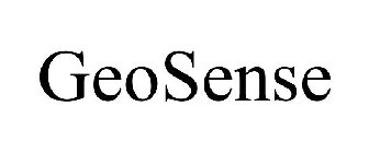 GEOSENSE