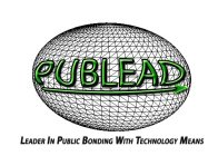 PUBLEAD LEADER IN PUBLIC BONDING WITH TECHNOLOGY MEANS