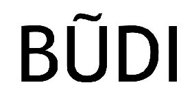 BUDI