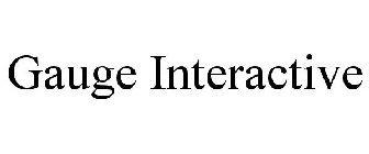 GAUGE INTERACTIVE