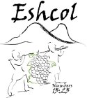 ESHCOL NUMBERS 13:23