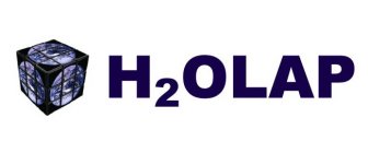 H2OLAP