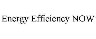 ENERGY EFFICIENCY NOW