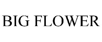 BIG FLOWER