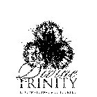 DIVINE TRINITY INTERNATIONAL MINISTRIES