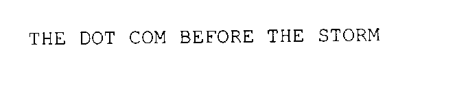 THE DOT COM BEFORE THE STORM