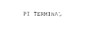PI TERMINAL