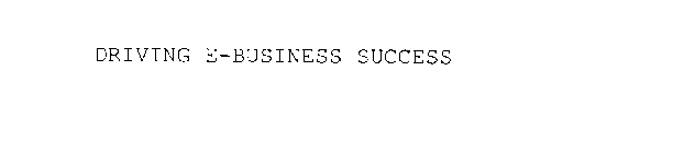 DRIVING E-BUSINESS SUCCESS