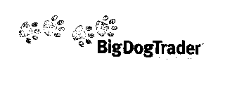 BIGDOGTRADER