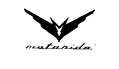 MOTORIDE