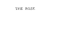 THE ROSE