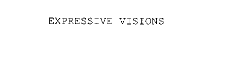 EXPRESSIVE VISIONS