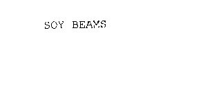 SOY BEAMS