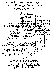 PLAYUSLOTTI ('LOTTINET'NETWORK)