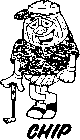 CHIP