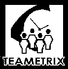 TEAMETRIX