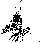 CRAWFISH