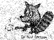 THE BLUE RACCOON