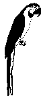 Image Trademark