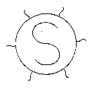 S