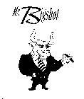 MR. BIGSHOT