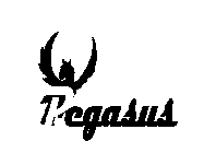 PEGASUS