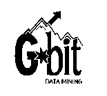 G-BIT DATA MINING