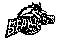 STONY BROOK SEAWOLVES